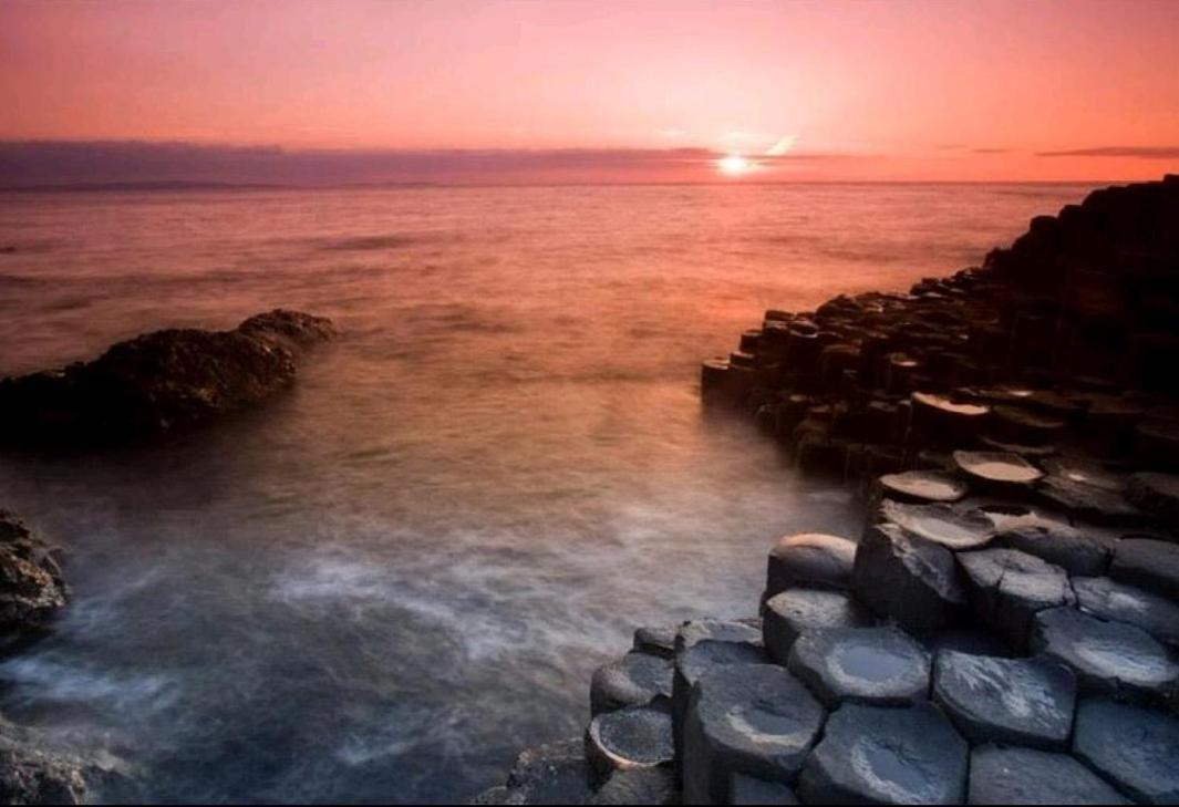 Coffee Cottage Portrush Holiday Home Self Catering Dış mekan fotoğraf